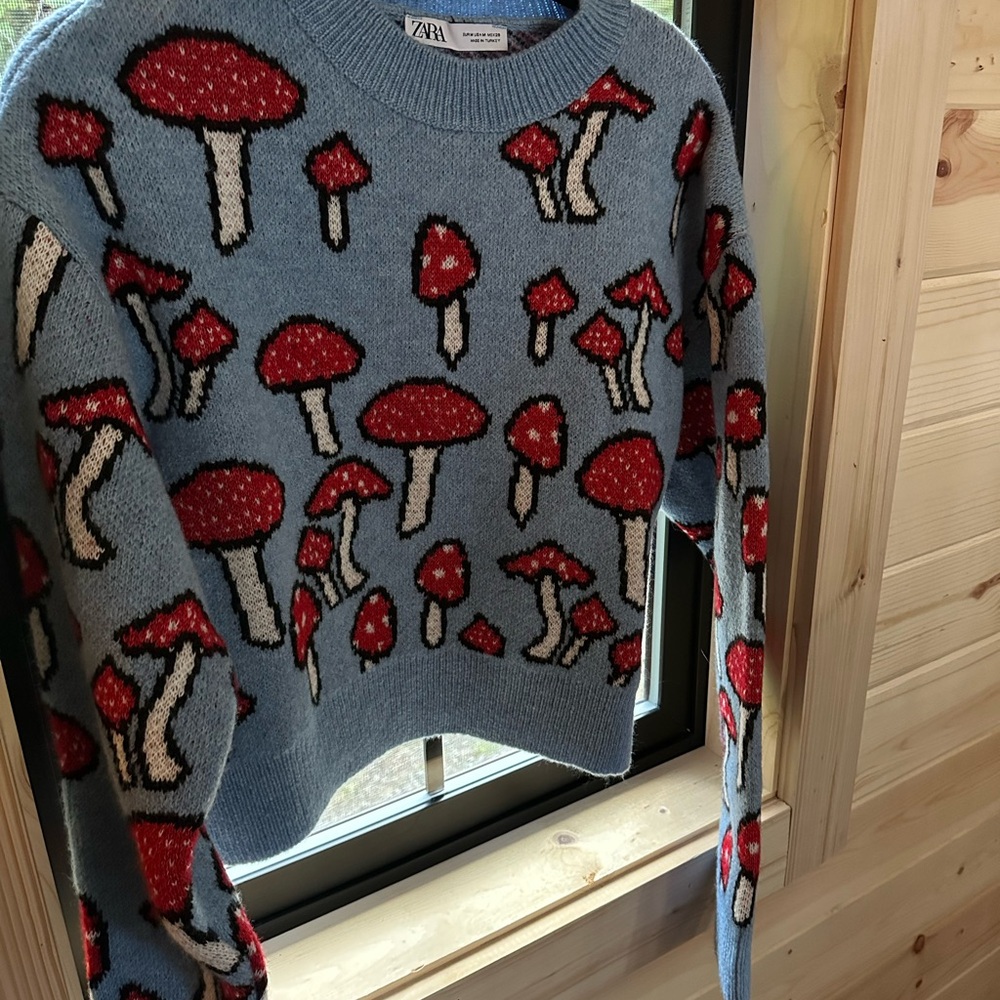 Zara Mushroom Sweater 🍄🩵